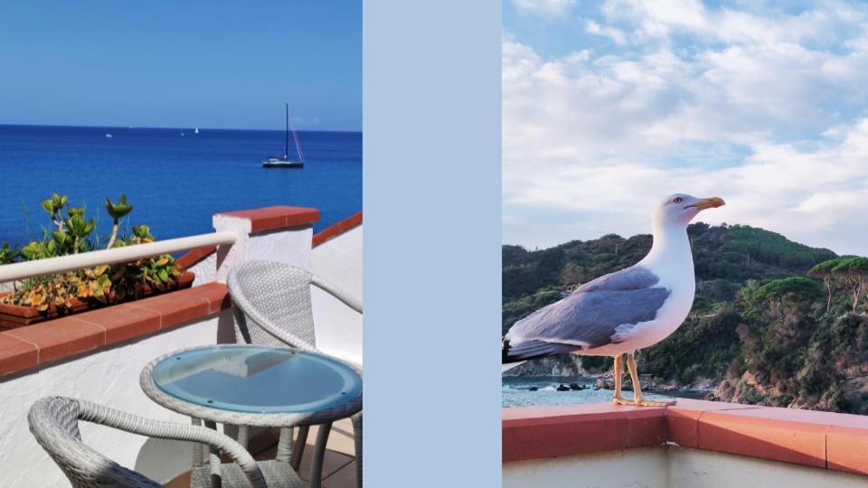 Hotel Scoglio Bianco Портоферрайо Экстерьер фото